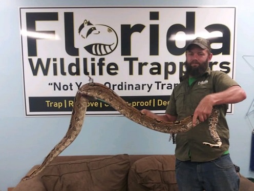 Florida Wildlife Trappers Orlando Florida